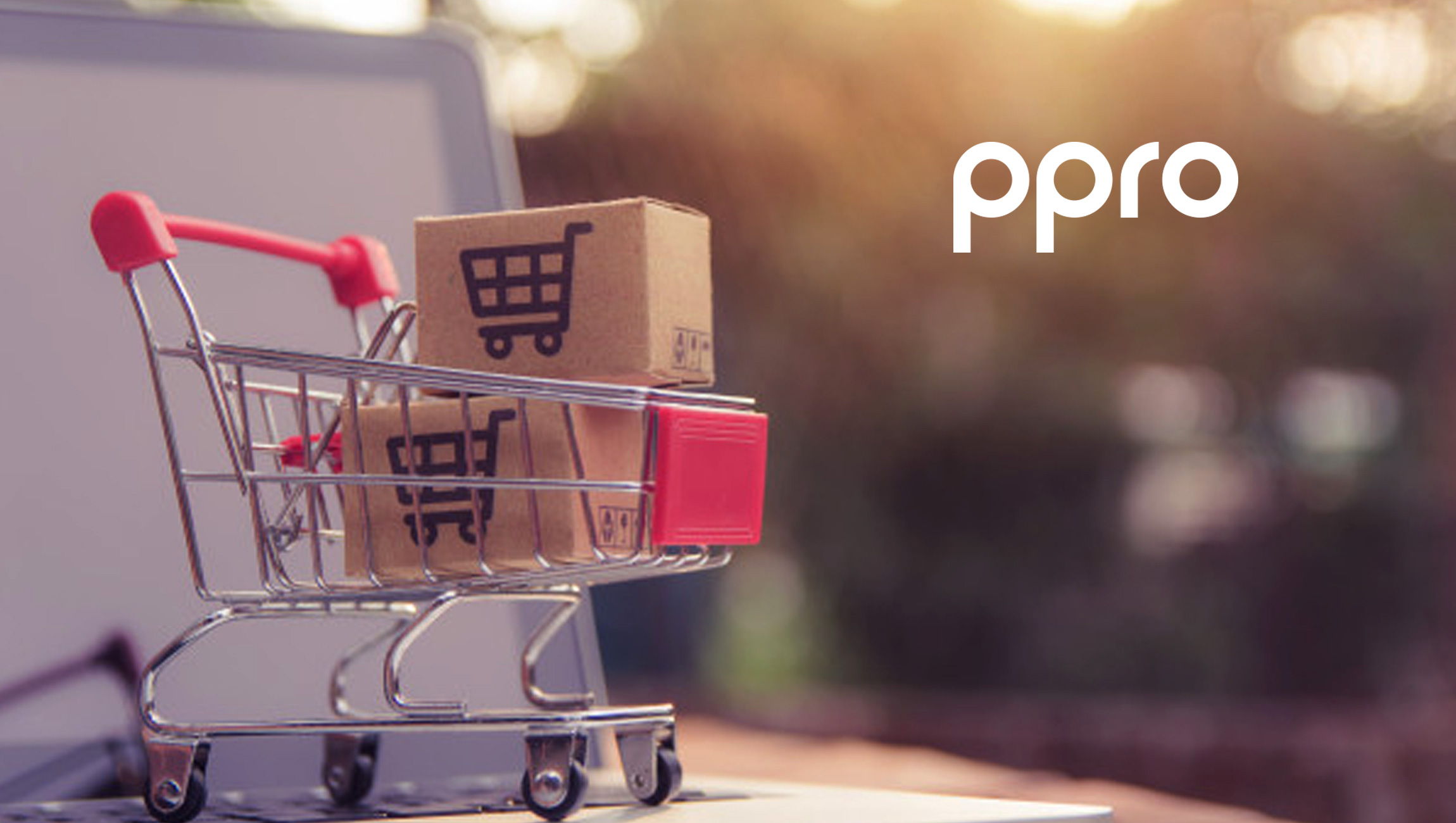PPRO’s US Cross-Border E-Commerce Report Provides a Guide for American Businesses to Succeed in a Global Marketplace