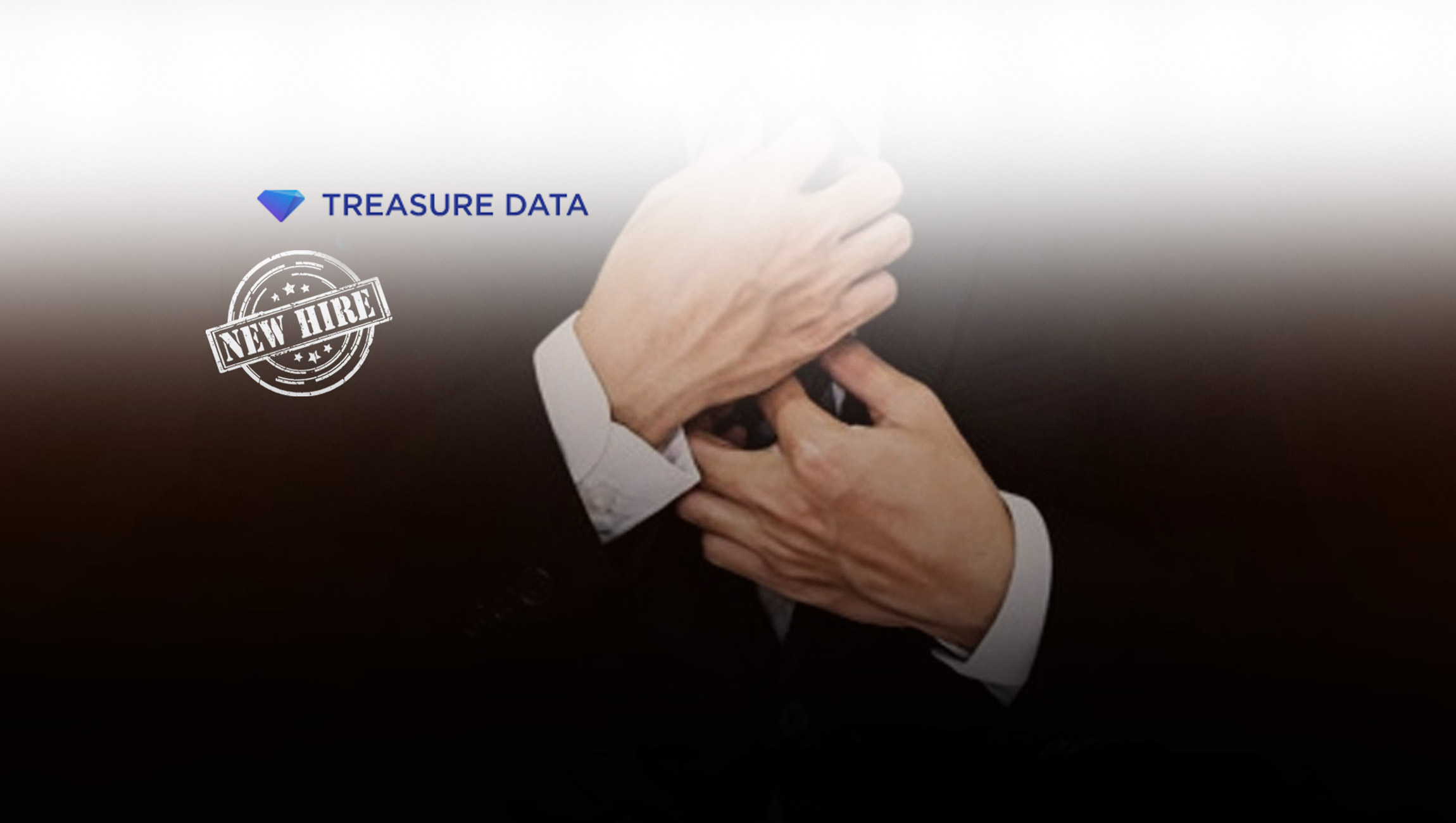 Treasure Data Appoints New Chief Executive Officer to Build on 3x Growth