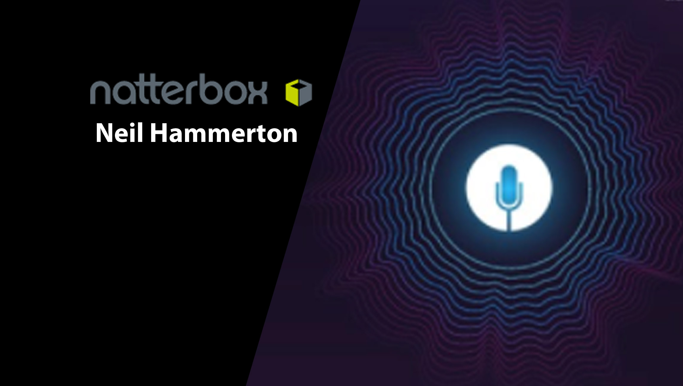 Neil-Hammerton_SalesTechStar-Natterbox